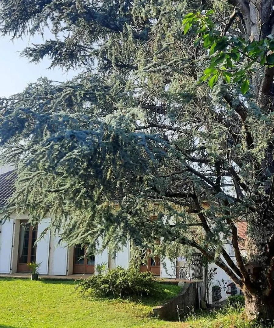Maison Village De Bigorre Ossun